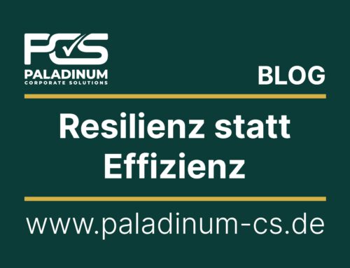 Resilienz statt Effizienz